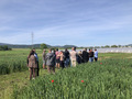 During the cross-visit, participants had the opportunity to see three Swiss farms and the DOK trial, which provided them with an insight into Swiss organic agriculture.