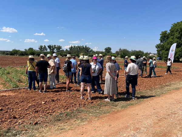Participants on the experimental fields.