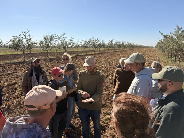Participants on the agroforestry field looking at almonds.