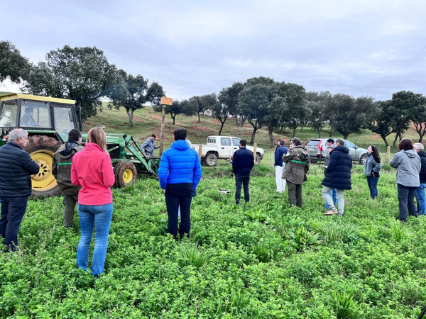Visitors in a green field watching a demonstration
