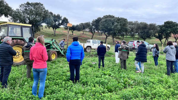 Visitors in a green field watching a demonstration