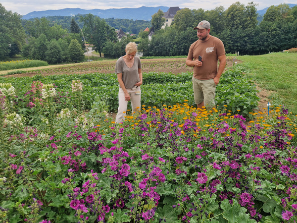Two participants in the herb field with purple and orange flowers.