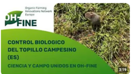 Control biológico del topillo común: la ciencia y la agricultura unidas en OH-FINE Control biológico del topillo común: la ciencia y la agricultura unidas en OH-FINE