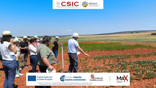 Participants at the experimental fields on the Muñovela Experimental Farm of the Institute of Natural Resources and Agrobiology of Salamanca (IRNASA-CSIC).