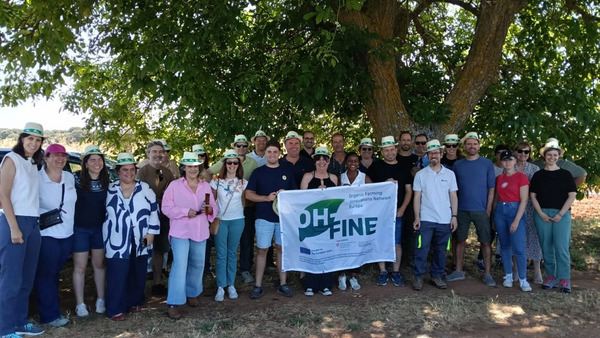 Groups picture under a tree.